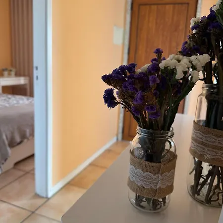 Ofir Homestay