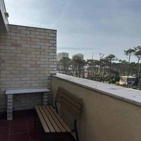 Homestay Ofir
